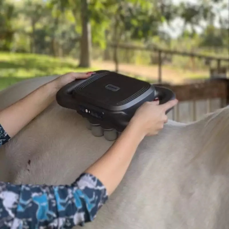 8 Heads Horse Massage Gun