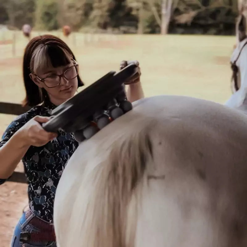 8 Heads Horse Massage Gun